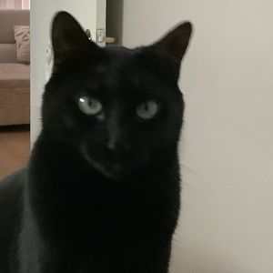 Meet your Posher, Romy